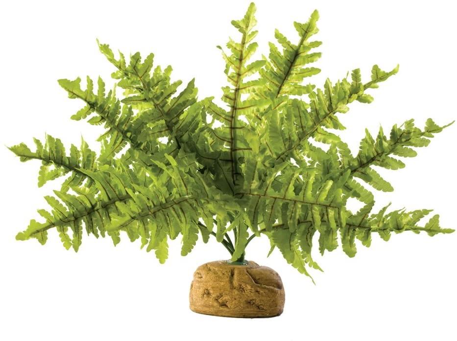 Exo Terra Boston Fern Small