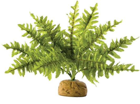 Exo Terra Boston Fern Small
