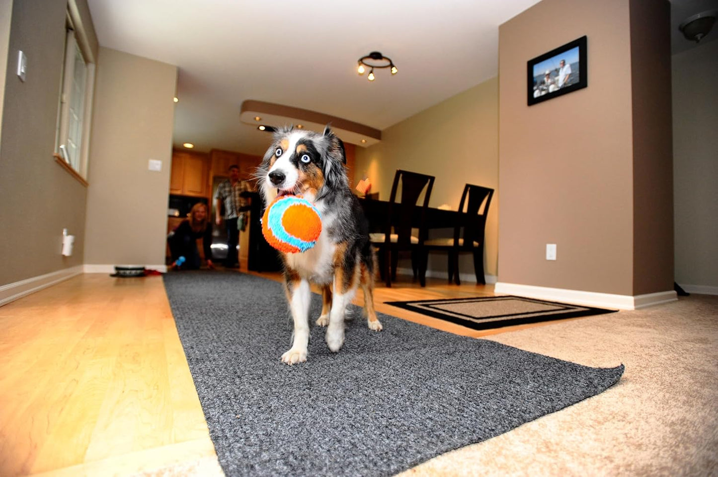 Chuckit! Indoor Play Ball 11cm