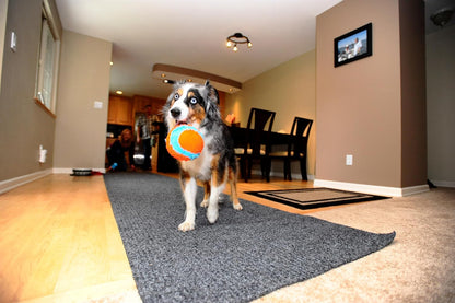 Chuckit! Indoor Play Ball 11cm