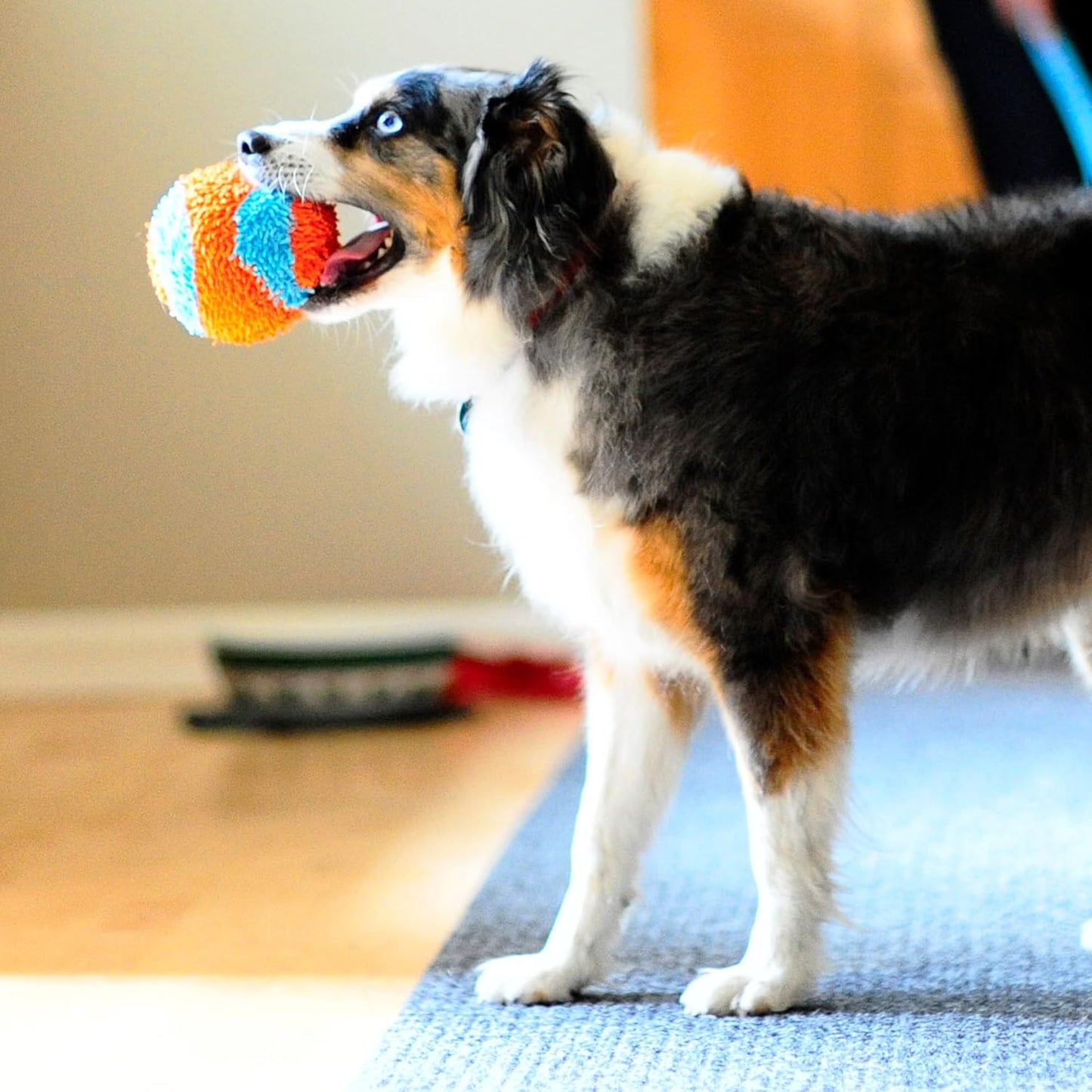 Chuckit! Indoor Play Ball 11cm