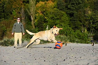 Chuckit! Kick Fetch Small 15cm