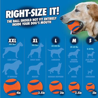 Chuckit! Sport Ball Launcher – Medium 18 (46cm) | Dog Fetch Toy with Ball
