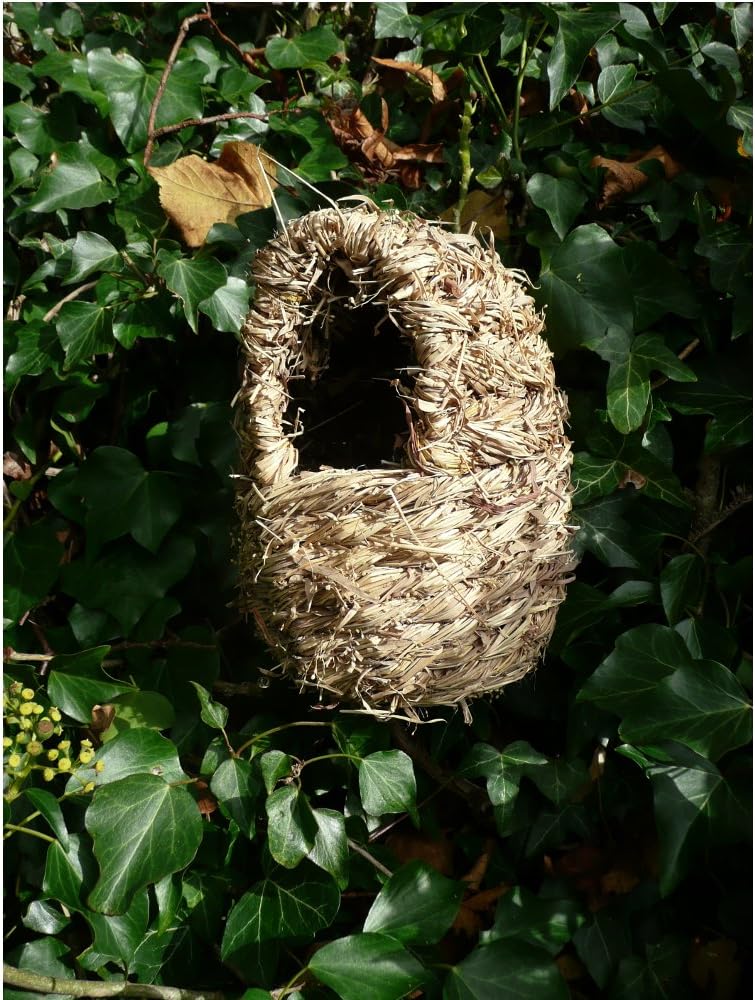 Wildlife World  Oval Roosting Nest Pocket