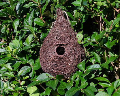 Wildlife World Wild Bird Giant Roost / Nest Pocket