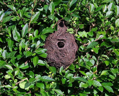 Wildlife World Wild Bird Giant Roost / Nest Pocket