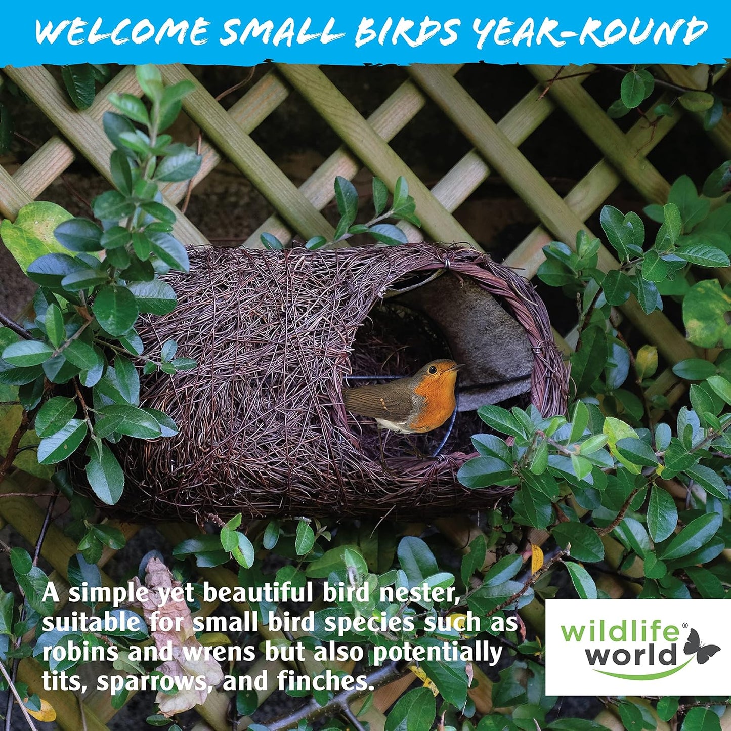 Wildlife World Simon King Brushwood Robin Nester