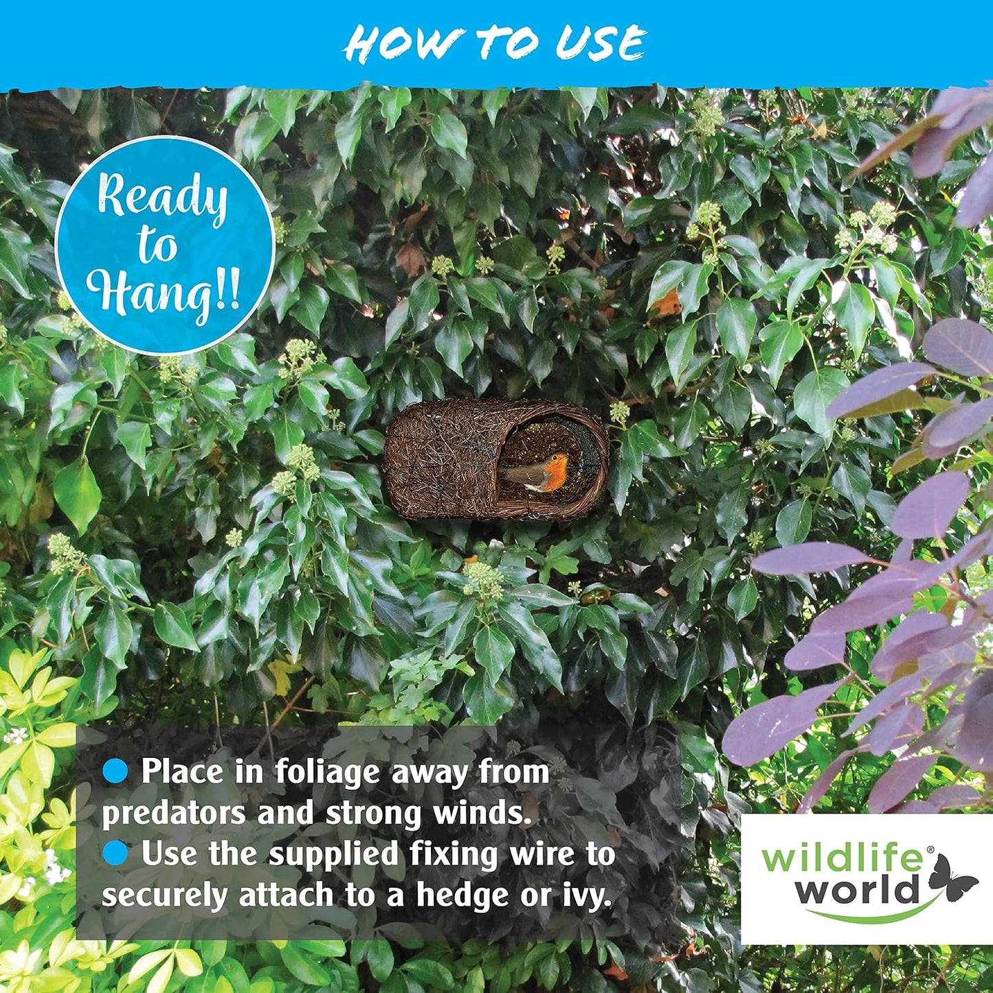 Wildlife World Simon King Brushwood Robin Nester