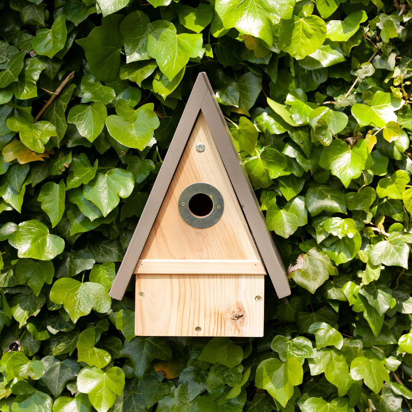 Wildlife World The Wootton Multi Species Bird Nesting Box