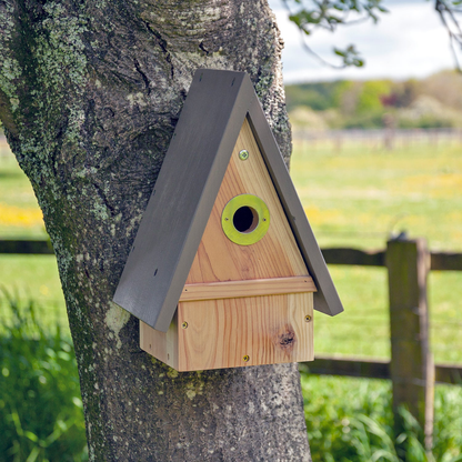 Wildlife World The Wootton Multi Species Bird Nesting Box
