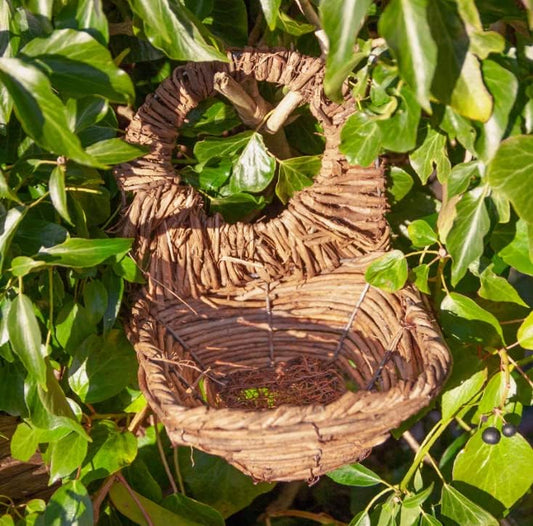 Simon King Rattan Blackbird Nester