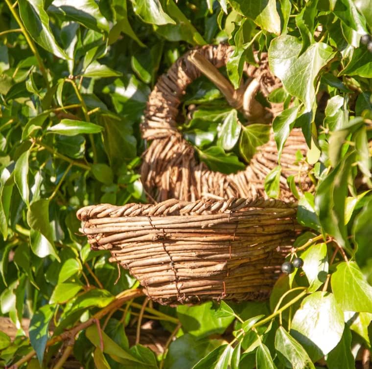 Simon King Rattan Blackbird Nester