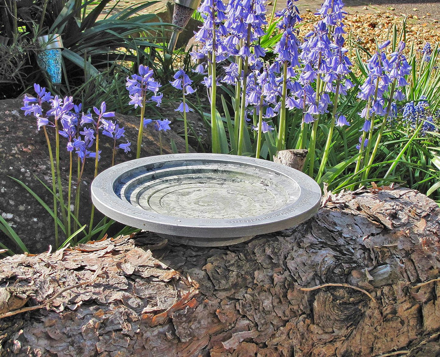 Wildlife World Aristotle Oasis Wild Bird Bath & Drinker