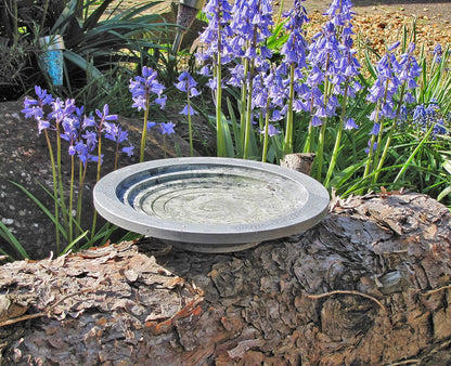 Wildlife World Aristotle Oasis Wild Bird Bath & Drinker