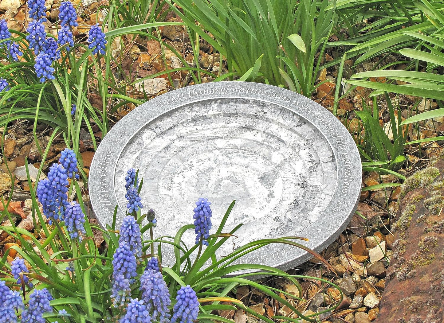 Wildlife World Aristotle Oasis Wild Bird Bath & Drinker