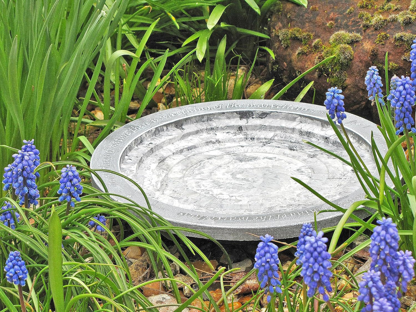 Wildlife World Aristotle Oasis Wild Bird Bath & Drinker