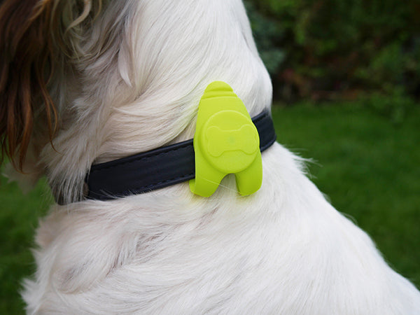 Rosewood Reflective LED Silicone Dog Collar Tag Large