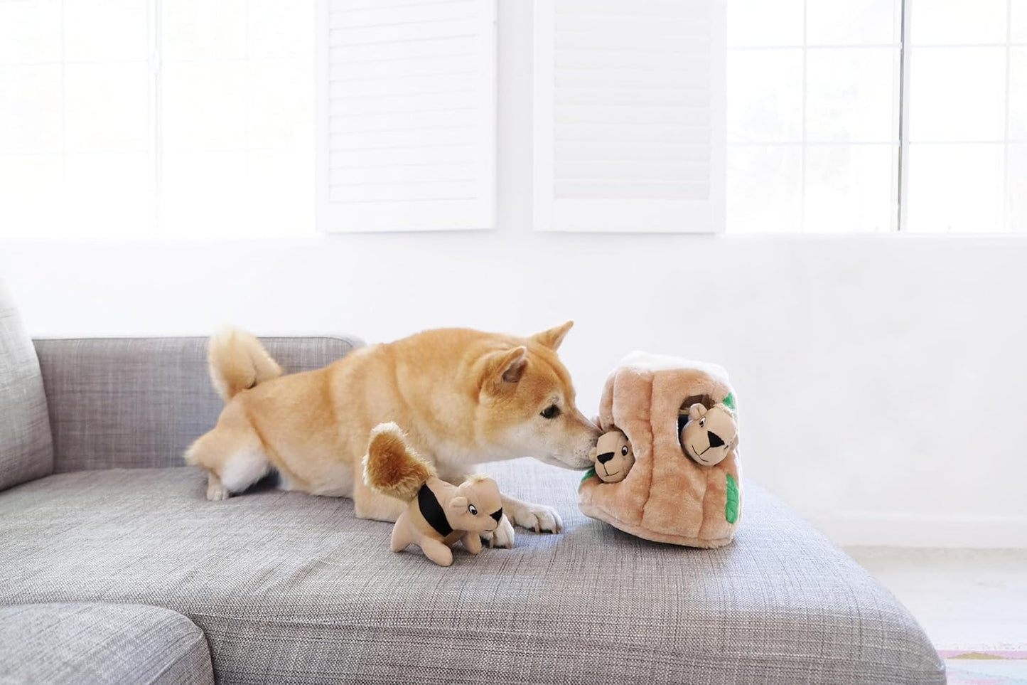 Outward Hound Hide A Squirrel Dog Toy Large