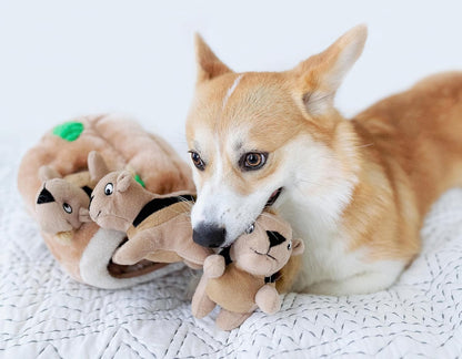 Outward Hound Hide A Squirrel Dog Toy Large