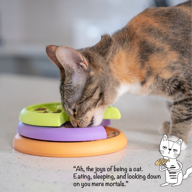 Catstages Kitty Lickin Layers Puzzle Feeder
