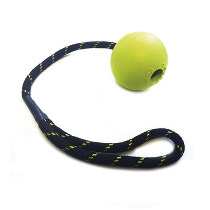 Tough Toys Floating Ball 2.5" Ball On Rope Assorted Colours