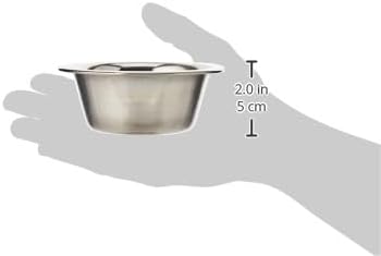 Pet Platter Stainless Steel Dish 4.5" 11cm