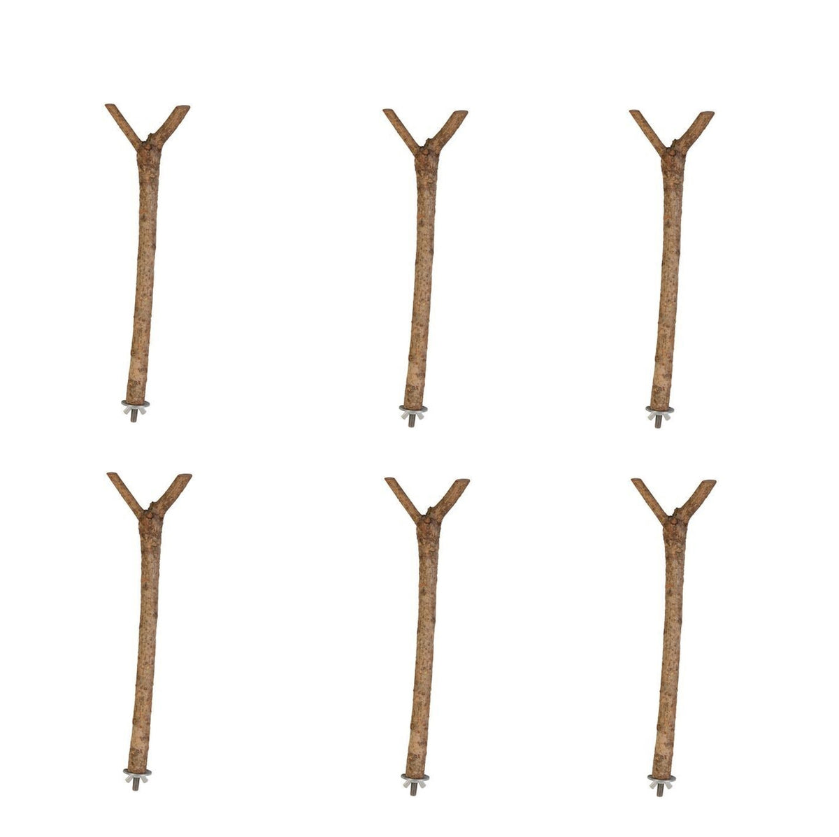 The Bird House Branch Wooden Perch Medium Budgies & Small Parakeets