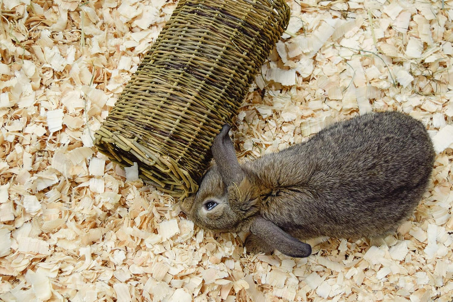 Natures First Willow Stix Tube Small
