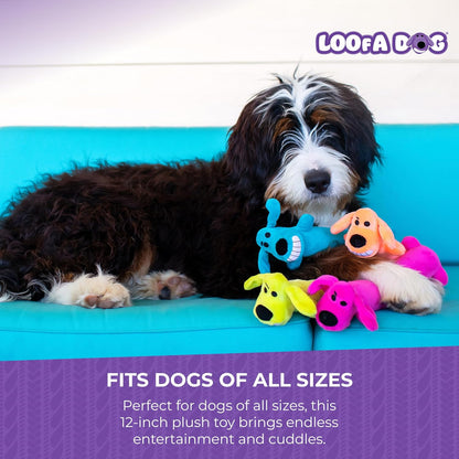 Happypet Loofa Dog Soft Plush Dog Toy 12" Assorted Colours