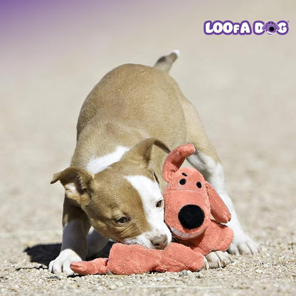 Happypet Loofa Dog Soft Plush Dog Toy 12" Assorted Colours