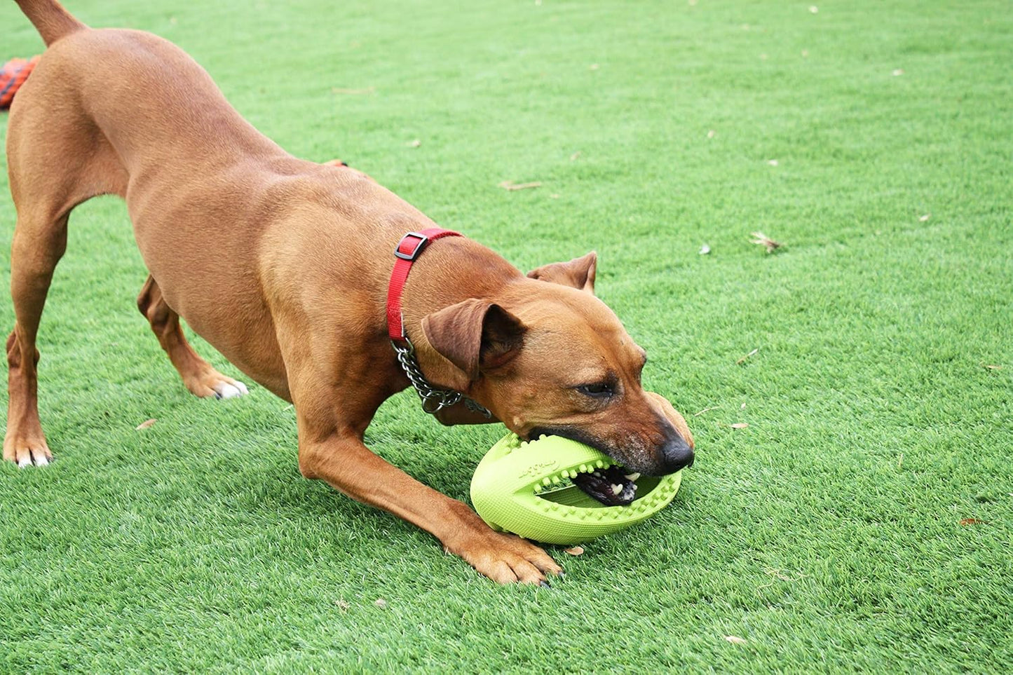 Grubber Interactive Rugby Ball Large 25cm