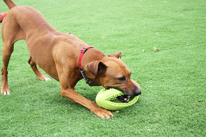 Grubber Interactive Rugby Ball Large 25cm
