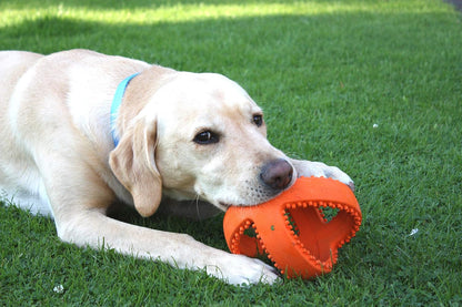 Grubber Interactive Football Rubber Toy