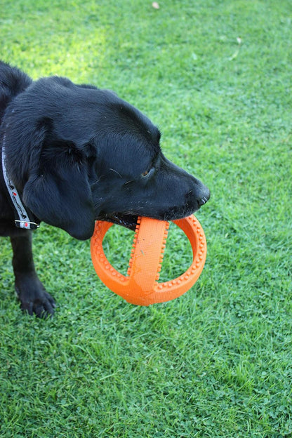Grubber Interactive Football Rubber Toy