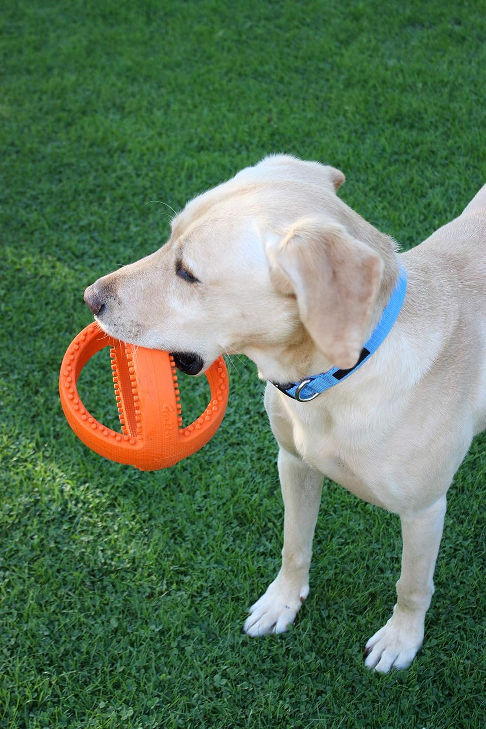 Grubber Interactive Football Rubber Toy
