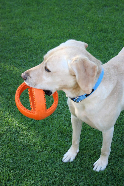 Grubber Interactive Football Rubber Toy