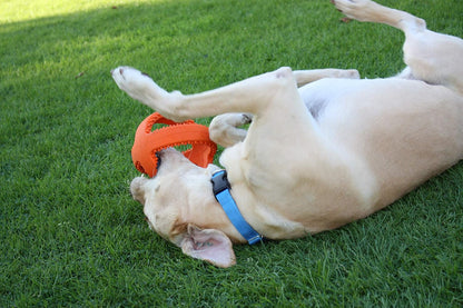 Grubber Interactive Football Rubber Toy