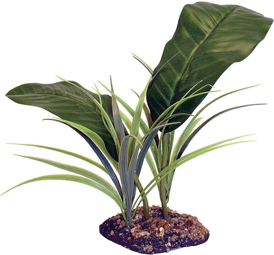 Komodo Evergreen Canopy