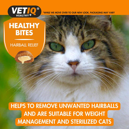 VetIQ Healthy Bites Hairball Remedy 65g