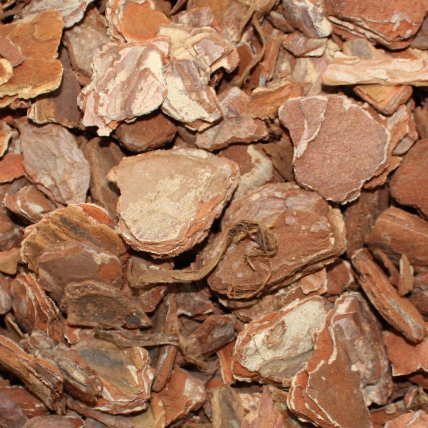 Komodo Forest Terrain Reptile Substrate 6 Litre
