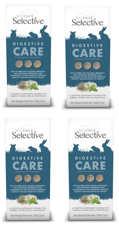 Selective Naturals Digestive Care Supplement Treats 100g