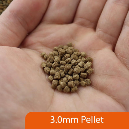 NT Labs Pro F Turtle Adult Pellet 120g