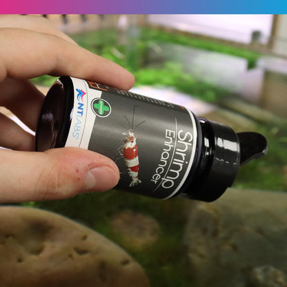 NT Labs Pro F Shrimp Enhancer 40g