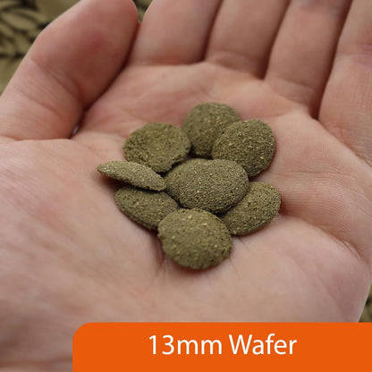 NT Labs Pro F Algae Wafers 110g