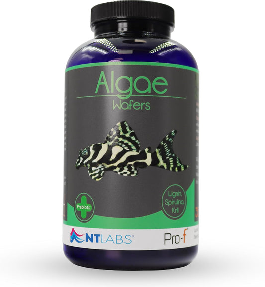 NT Labs Pro F Algae Wafers 350g