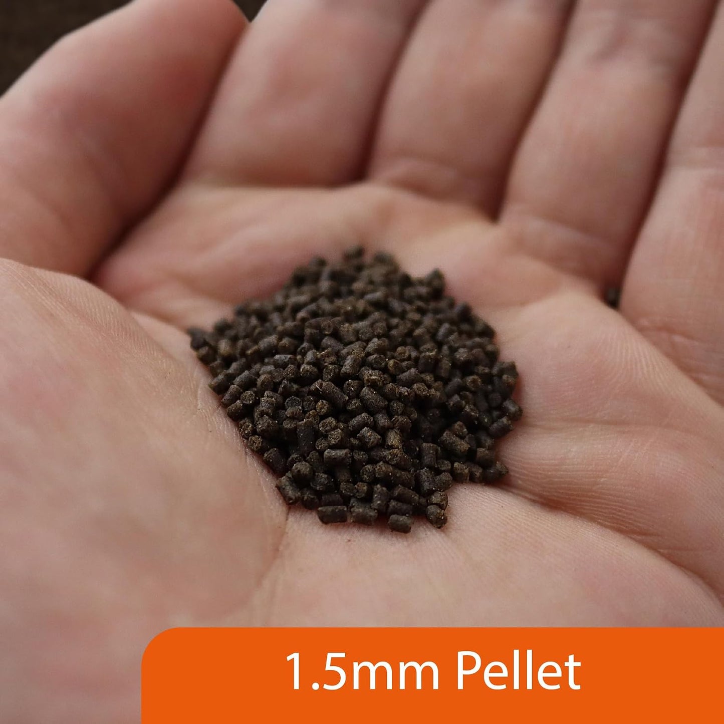 NT Labs Pro F Fancy Goldfish Pellets 400g