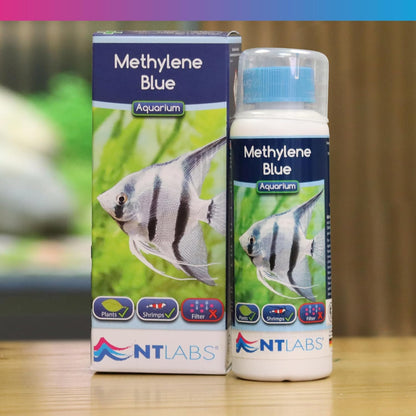 NT Labs Aquarium Methylene Blue