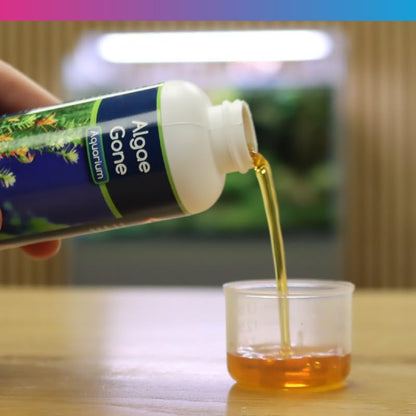 NT Labs Aquarium Algae Gone 100ml