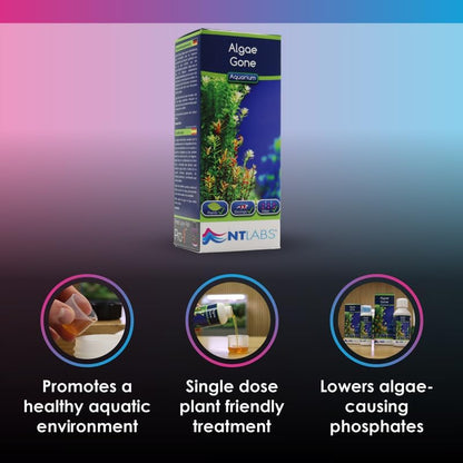 NT Labs Aquarium Algae Gone 100ml