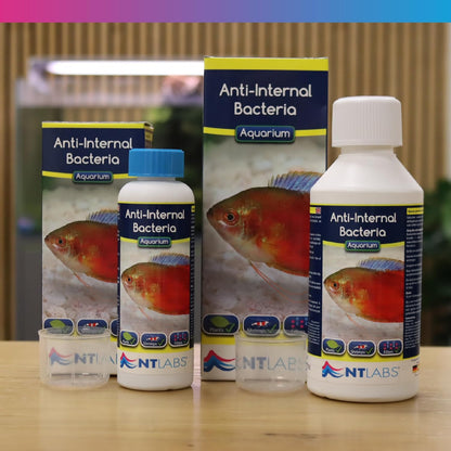NT Labs Aquarium Anti Internal Bacteria 250ml